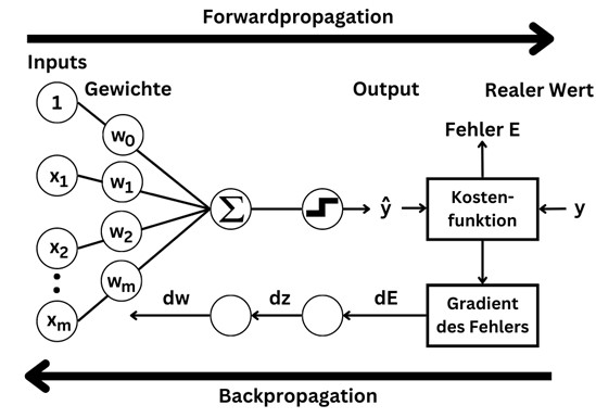 Neuronale-Netze-Forwardpropagation-Backpropagation