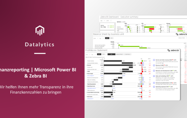 Lösung – Finanzreporting Power BI Zebra BI Profit and loss Balance Shet Executive Summary