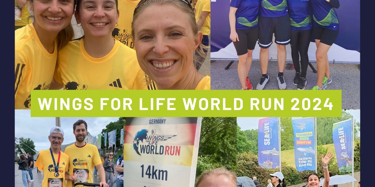 Datalytics Team beim Wings For Life World Run 2024 mit Dataciders Trikots