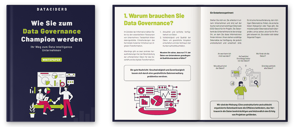 Mockup eines Whitepaper mit dem Titel "Wie Sie zum Data Governance Champion werden - Ihr Weg zum Data Intelligence Unternehmen"